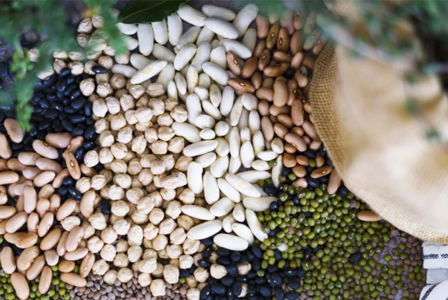 alimentos ricos en proteinas